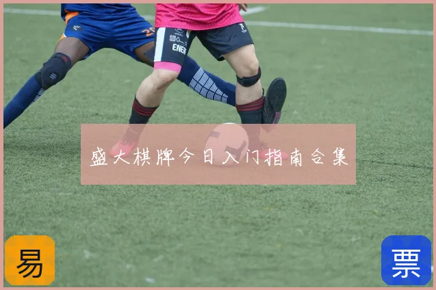 盛大棋牌今日入门指南合集